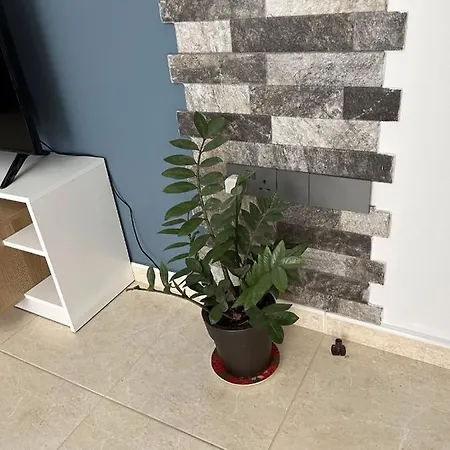 Grey Stone Konia